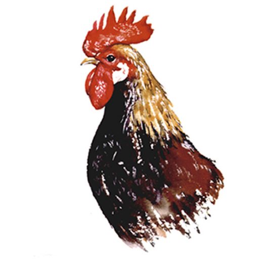 Jennifer Dennis JD Art